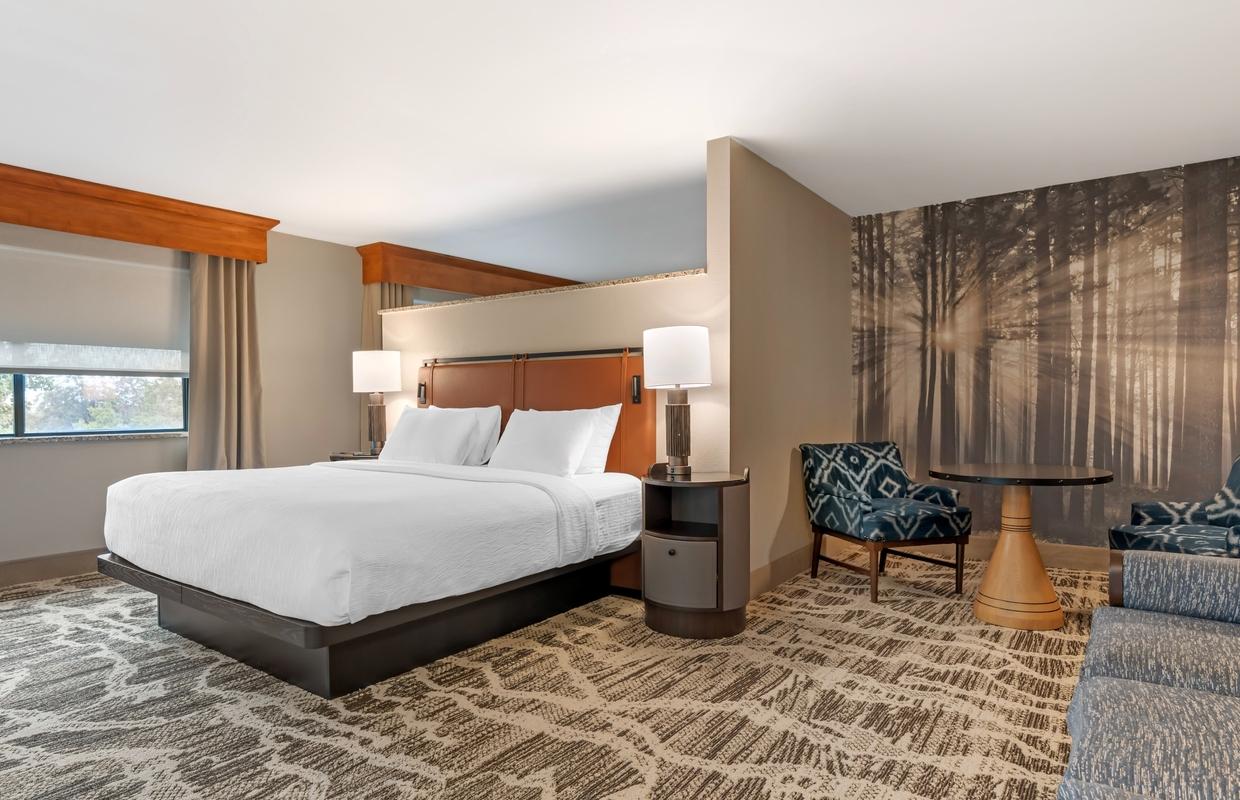 Family Suite King Guestroom with Sofa Bed