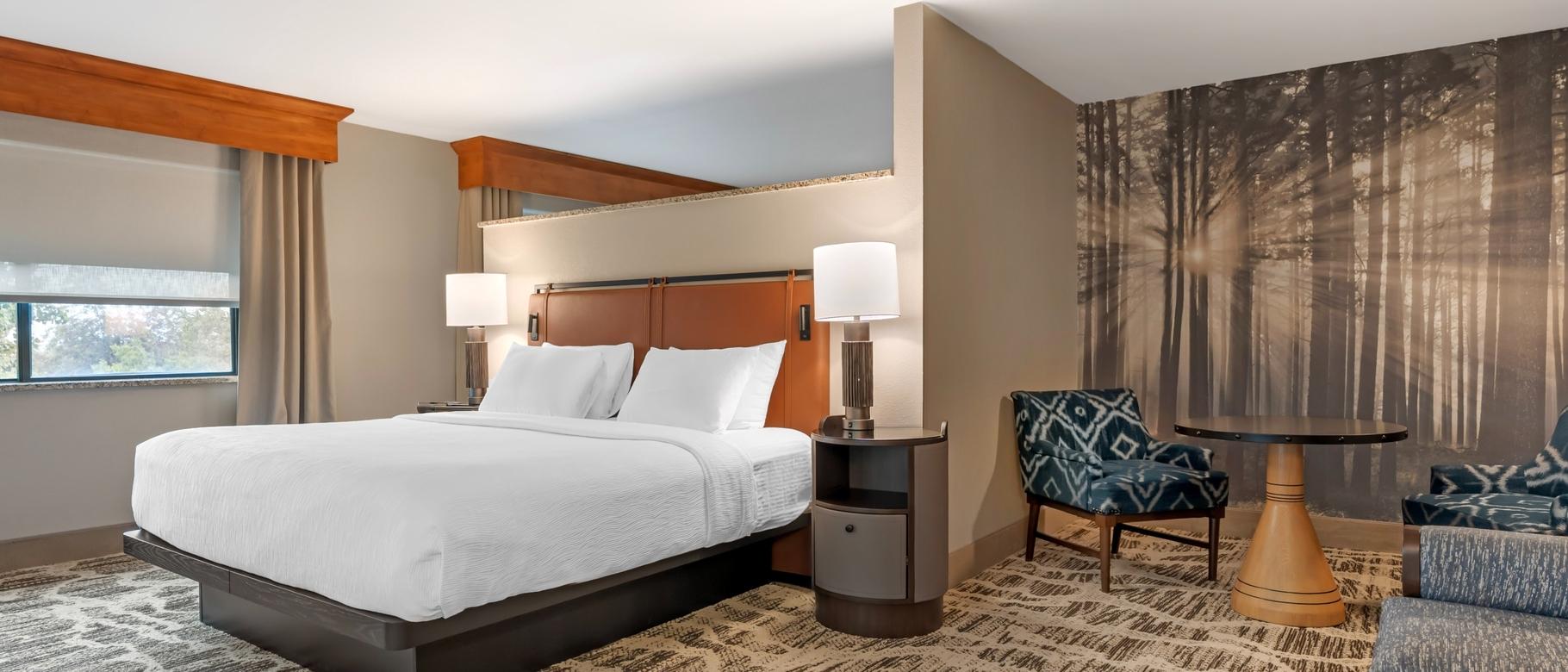 Family Suite King Guestroom with Sofa Bed