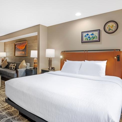 Spacious King Suite 