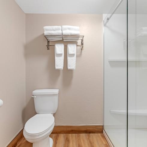 Modern Bathroom with Shower