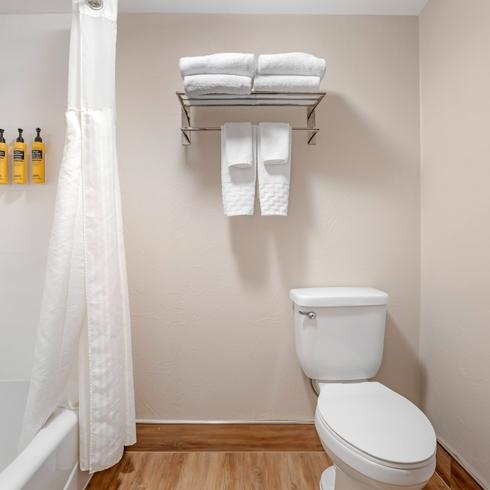 Modern Bathroom with Tub Shower Combo